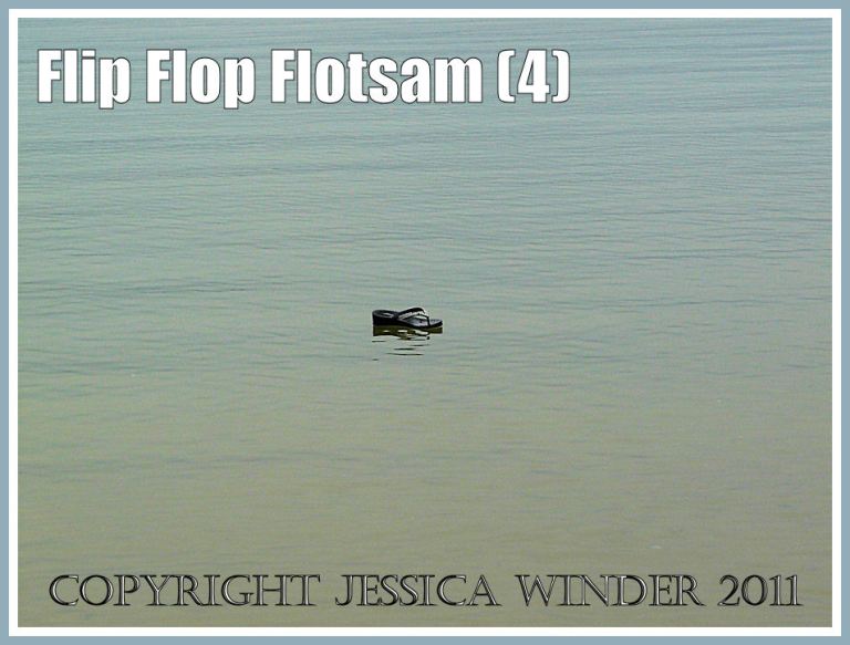 Flip flop flotsam floating ashore at Weymouth, Dorset, U.K. (4)