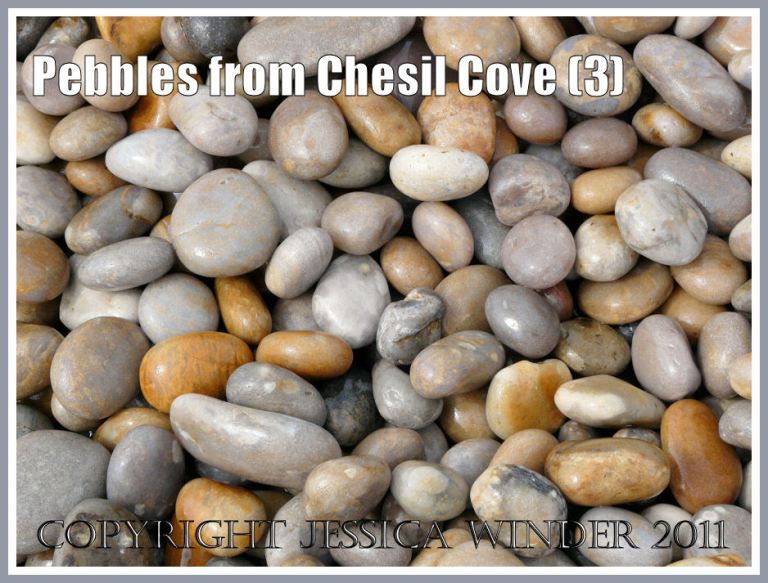 Pebbles on Chesil Beach: Large wet pebbles from the easternmost end of Chesil Cove, Portland, Dorset, UK - part of the Jurassic Coast (3)