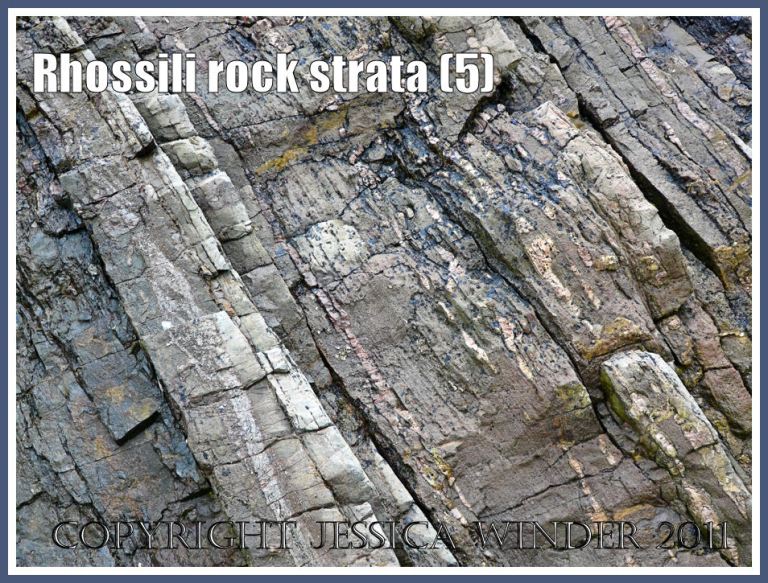 Cliff rock strata: Carboniferous limestone rock strata in cliffs at Rhossili Bay, Gower, South Wales, UK (5)