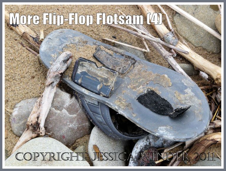 Strandline flip flop flotsam: Flotsam flip flop sandal washed ashore onto a pebble and driftwood strewn strandline at Rhossili Bay, Gower, South Wales, U.K. (4)