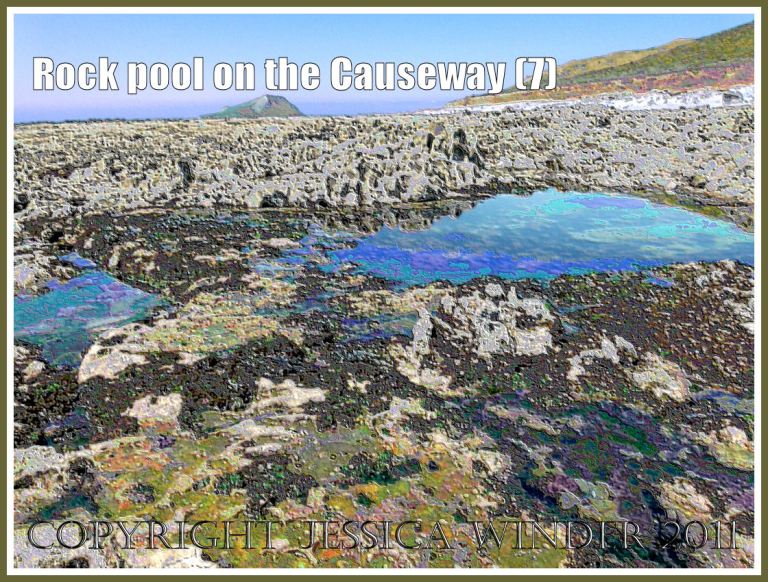 A vista of rocks and tide pools with reflections and seaweeds on Worms Head Causeway, Gower, South Wales, UK, a wave-cut platform of Carboniferous Limestone, with Worms Head in the background - a digitally modified photograph (7)