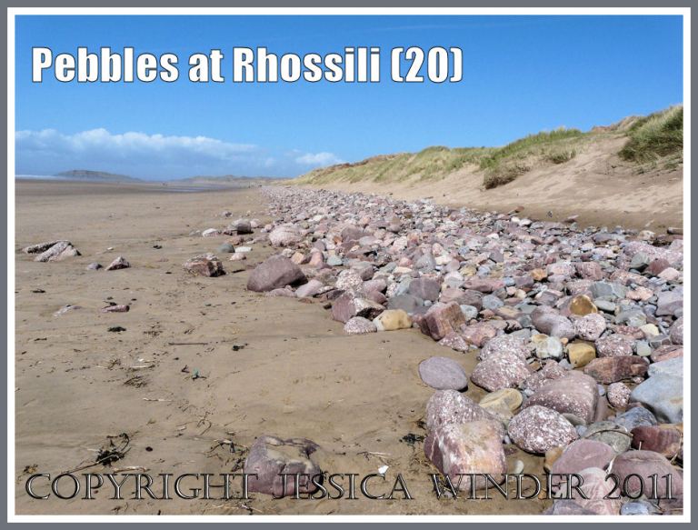 Coloured pebbles on Rhossili Beach: View at Rhossili looking towards Burry Holms, showing bank of multi-coloured pebbles at base of the dune system called Llangennith Burrows, Gower, West Gamorgan, South Wales, UK (20)