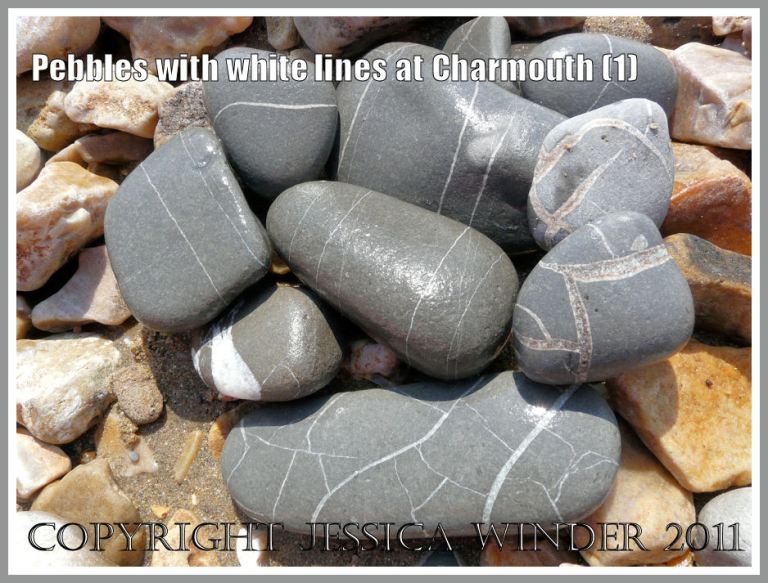 An arrangement of pebbles with white lines on them, found during a walk along the seashore at Charmouth, Dorset, UK - part of the Jurassic Coast (1)