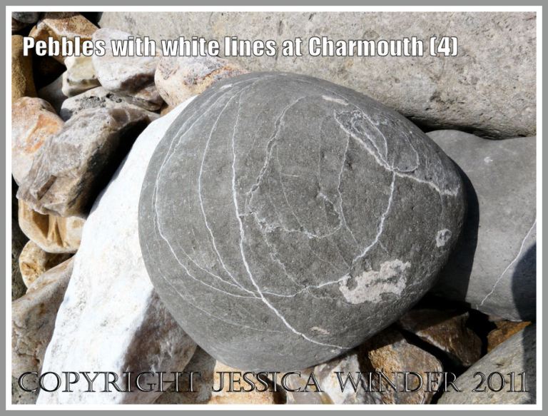 Jurassic pebbles: A pebble with an abstract design of white lines as found on the beach, Charmouth, Dorset, UK - part of the Jurassic Coast (4)