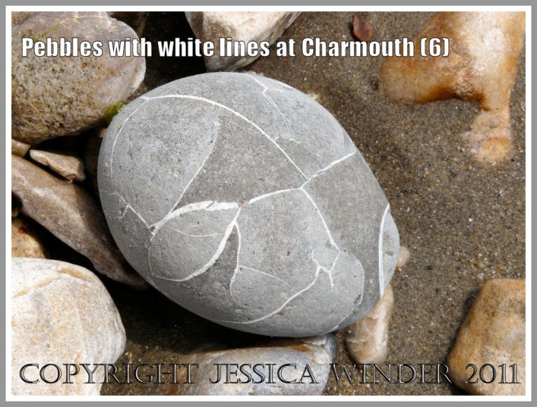 Patterned pebble: A pebble with an abstract design of white lines as found on the beach, Charmouth, Dorset, UK - part of the Jurassic Coast (6)