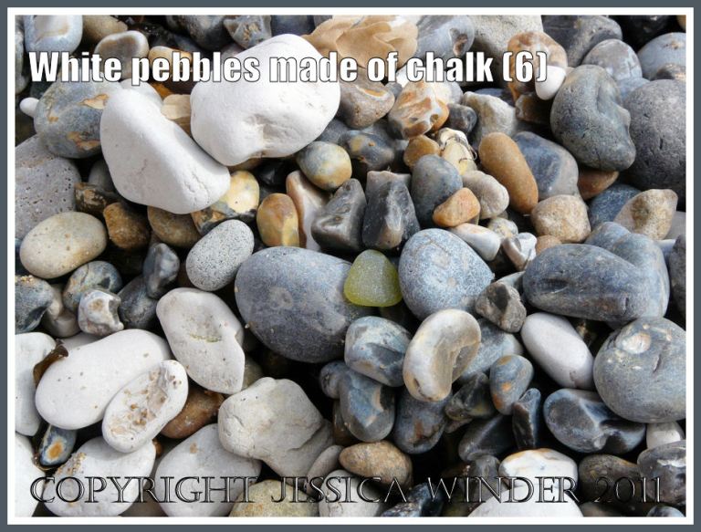 Dry pebbles of white chalk, grey flint and yellow chert on a Jurassic Coast beach (6)