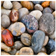 PEBBLES 1 - Pebbles on Chesil Beach. You can find posts about pebbles from many places in the PEBBLES category in Jessica's Nature Blog.