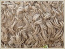 Curly wool sheep fleece