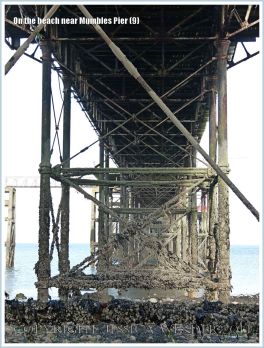 View of the supporting girders and struts that provide a habitat for marine and seashore creatures beneath Mumbles Pier