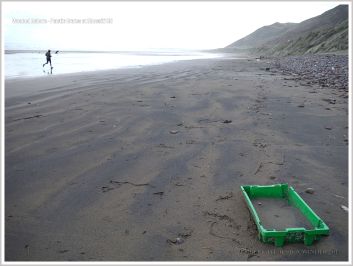 Green plastic crate washed ashore on sandy beach