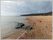 Low-shore rock outcrop with fossil oysters at Ringstead Bay on the Jurassic Coast