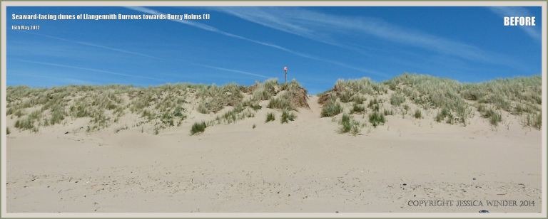 Sand dunes at Rhossili in May 2012