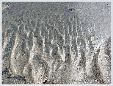 Sand ripples at Monmouth Beach in Lyme Bay