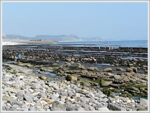 View across the rock layers and boulders of Monmouth Beach looking towards the Cobb and Golden Cap