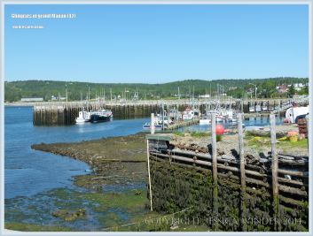 North Head Harbour on Grand Manan