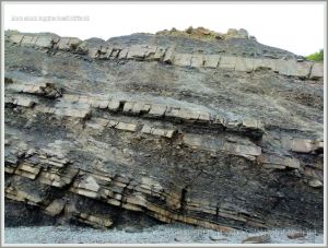 Rock strata at Joggins Fossil Cliffs