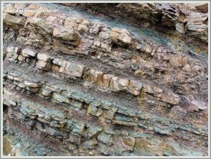 Rock strata at Joggins Fossil Cliffs
