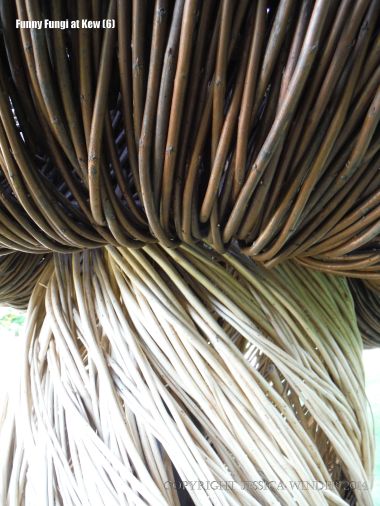 Close-up of the basketwork weaving of a larger than life willow sculpture of fungi by Tom Hare