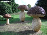 Larger than life willow sculptures of fungi by Tom Hare