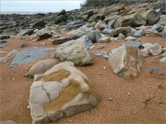 Sedimentary rock boulders on the seashore