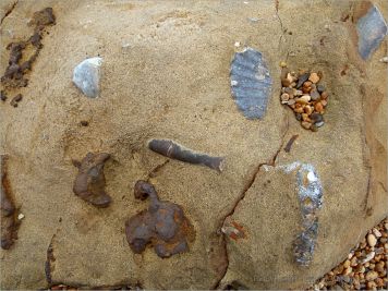 Fossils and iron nodules in a rock on the beach at Eype in Dorset, England