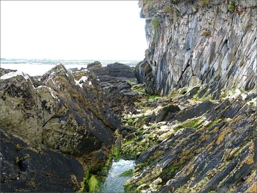 Silurian rocks at the north end of Ferriters Cove