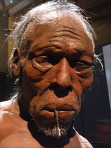 Model of an early example of Homo sapiens face