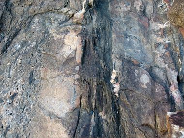 Texture, possibly showing evidence of volcanic activity, in a rock outcrop near Four Mile Beach in Port Douglas