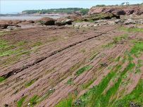 Red Triassic rock layers on the shore at Waterside Beach in New Brunswick.