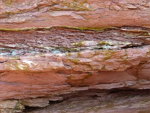 Vertical cross-section through red Triassic rock strata in the cliff at Waterside, New Brunswick.