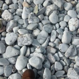 Pebbles of the shingle banks at Pwll Du