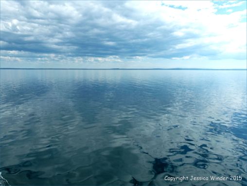 Still waters of the Northumberland Strait with reflected clouds viewed from the crossing ferry
