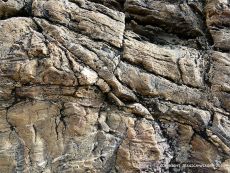 Rock colour and texture in Caswell Bay Mudstone strata