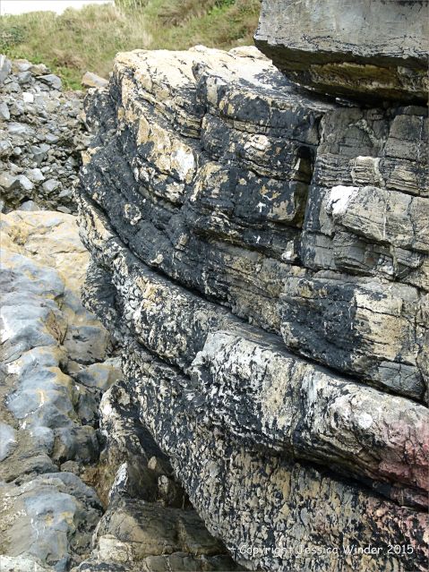 Rock colour and texture in Caswell Bay Mudstone strata