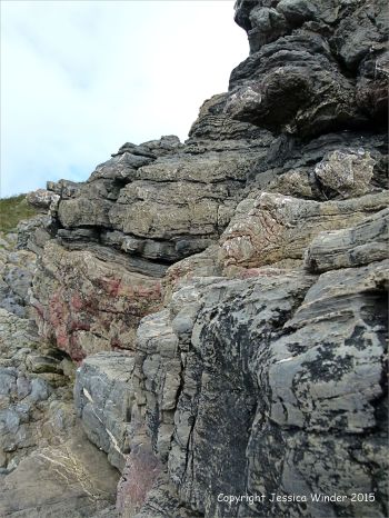 Rock colour and texture in Caswell Bay Mudstone Formation strata
