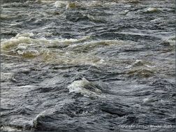 Rough surface water texture in a fast flowing river