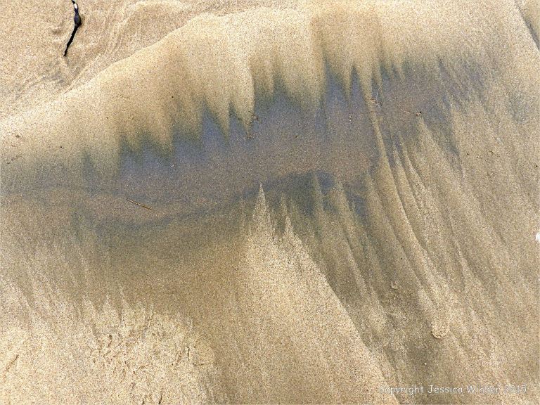 Natural patterns of dark streaks along the driftlines of a sandy beach