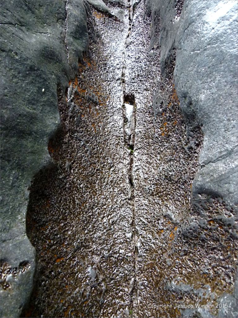 Natural abstract image of a crack in the rock of a cliff face with worm burrows