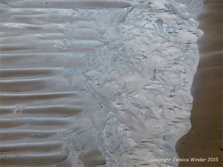 Silvery sand patterns at Rhossili Bay