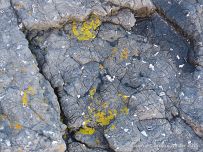 Limestone rock texture on the Gower coast