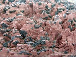 Red sandstone Devonian rocks on the seashore