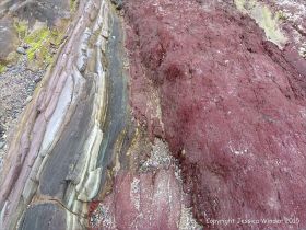Red sandstone Devonian rocks on the seashore