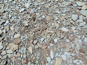 Beach stones near Cape Enrage