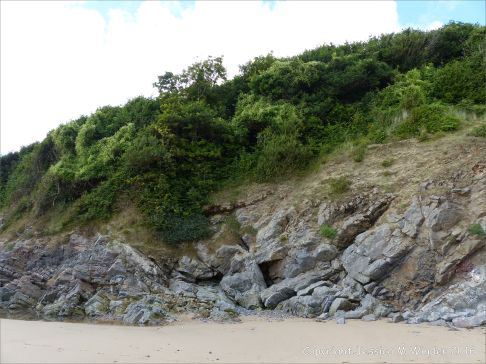 Limestone on the west side (north) of Three Cliffs Bay (context shot)