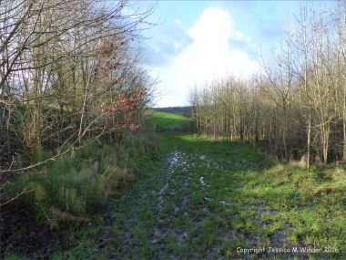 English countryside view of muddy lane