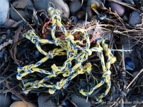 Piece of blue and yellow fishing net flotsam