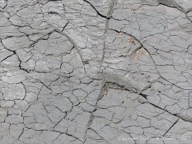 Natural fracture patterns in drying mud