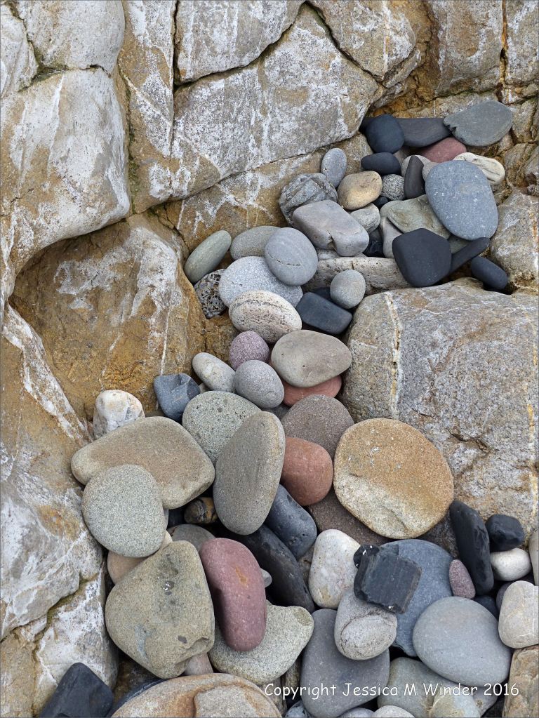 Pebbles from Carboniferous Period rocks at Langland Bay
