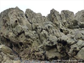 Carboniferous limestone rock formation at Langland Bay