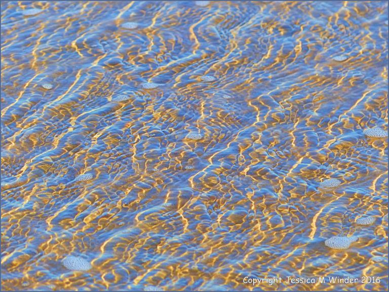 Natural patterns of sunlit ripples in shallow water